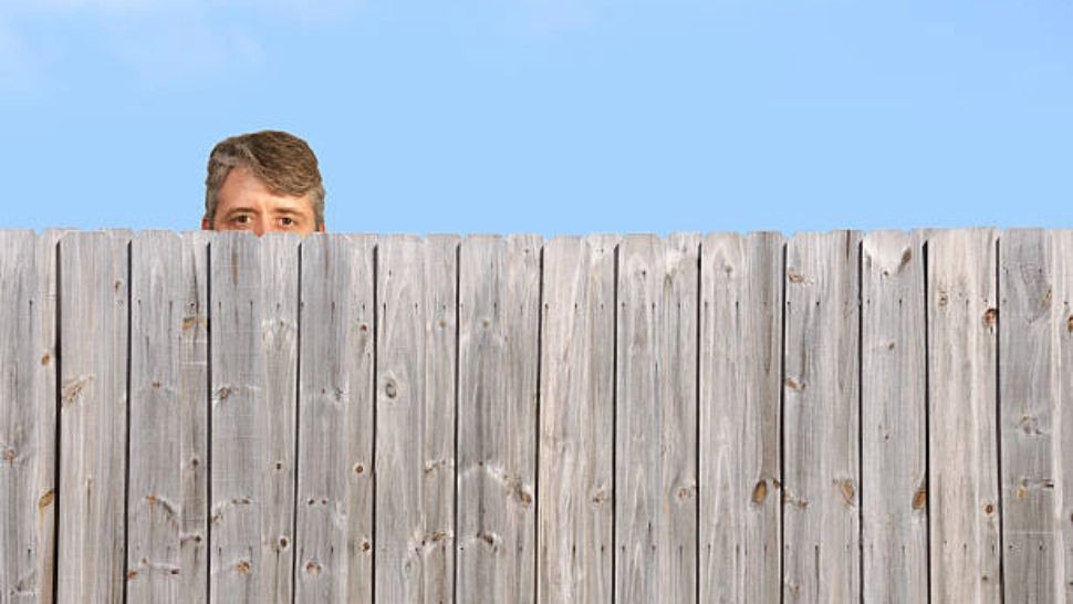 Legea care îți spune dacă poți să tragi cu ochiul peste gard la vecini 