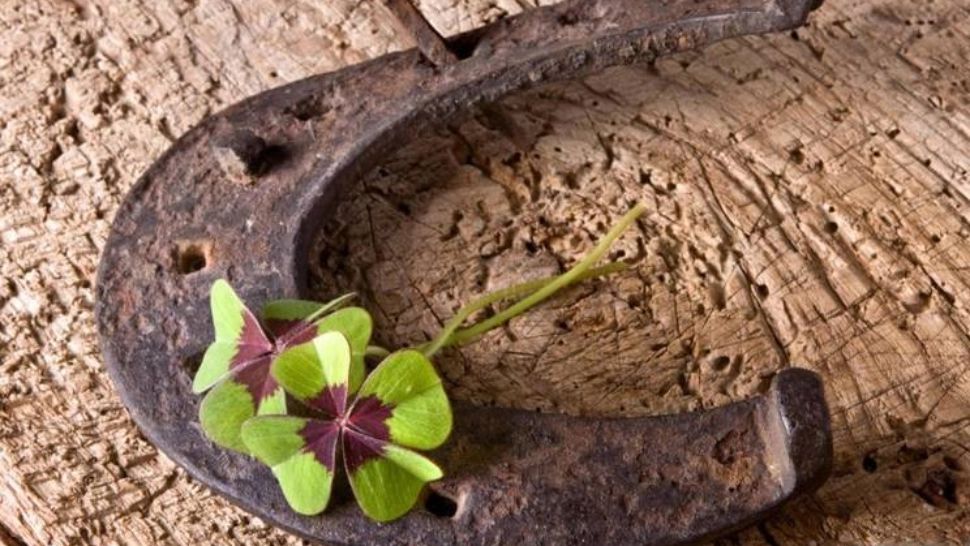 Horoscop financiar 6-12 noiembrie. Zodiile care încep săptămâna cu buzunarele goale