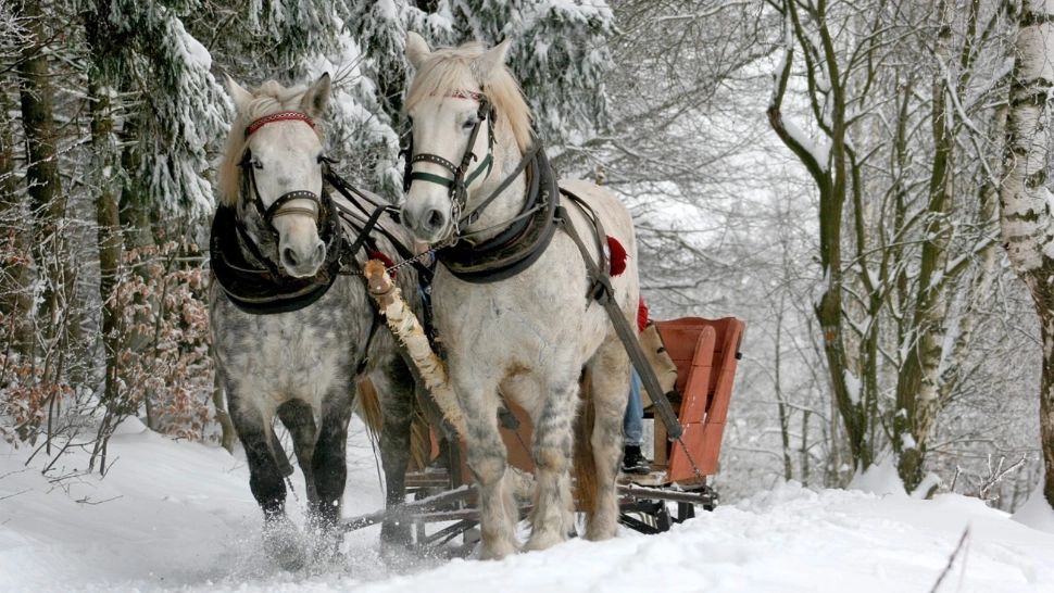 Cum va fi vremea de Crăciun și de Revelion. Zonele din România unde va ninge ca-n povești