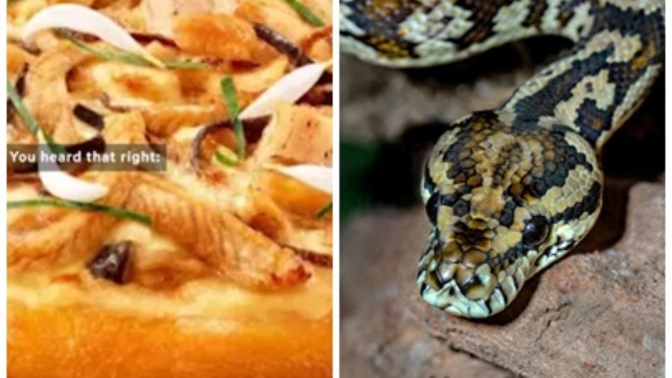 Pizza cu carne de șarpe/ Colaj foto