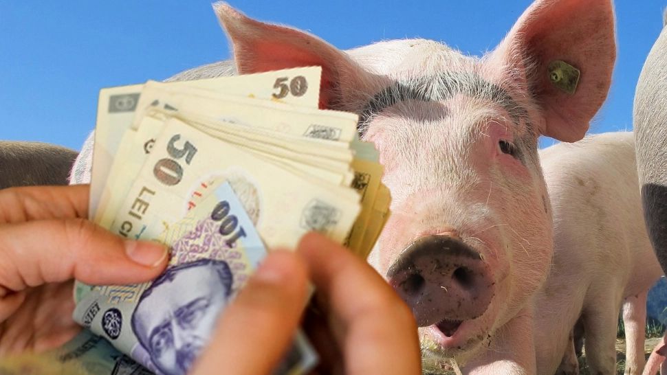 Noi vouchere de 1.000 de lei pentru porcul de Crăciun