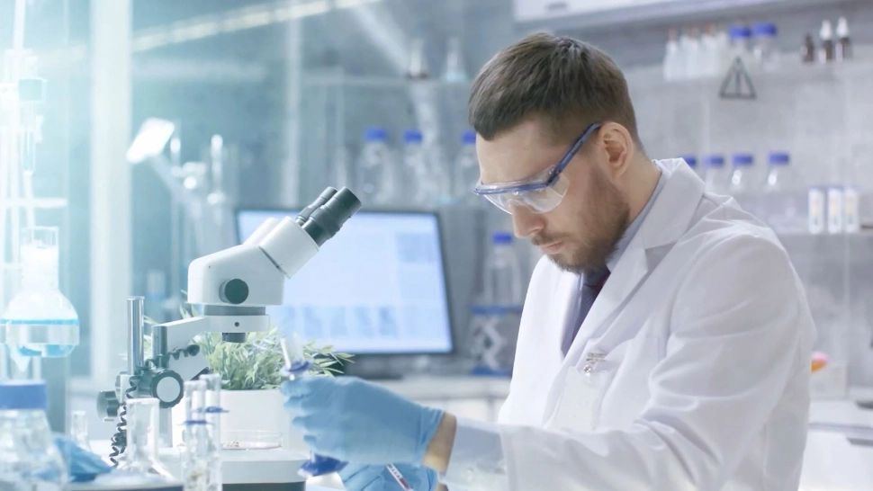 Cercetator