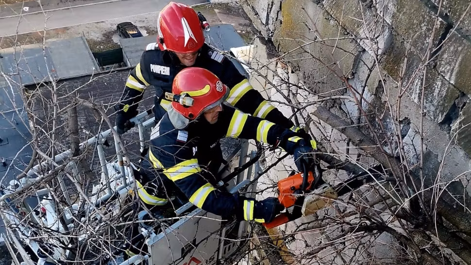ISU Giurgiu, intervenție periculoasă - Pompierii, chemați urgent de locatari pentru un copac ce a crescut la etajul 8