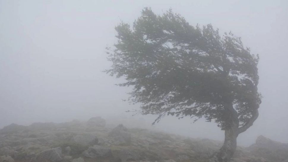Cod de vânt puternic în două județe. Foto/Arhivă