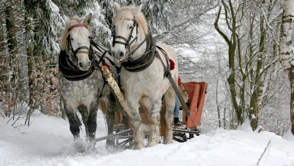Prognoza meteo de Revelion: temperaturile cresc brusc. Unde va ninge ca în povești