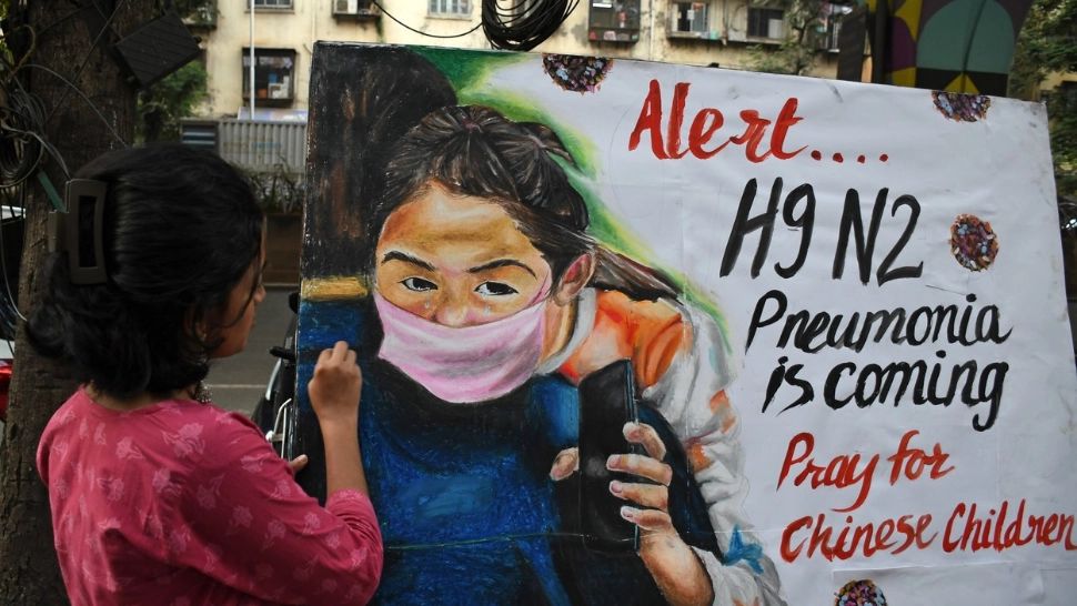 Mesaj de alertă în India privind prenumonia H9N2 (Profimedia)
