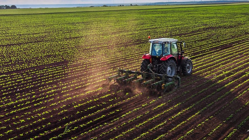 O familie din India a ajuns să exploateze 27.000 de hectare de teren agricol în România