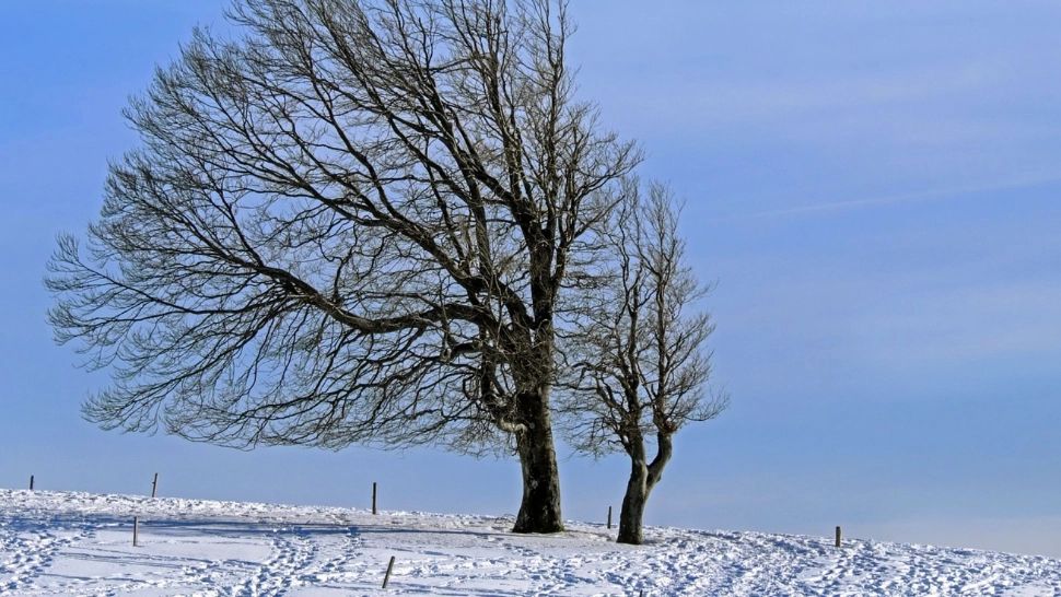 Vremea se va răci în următoarele zile