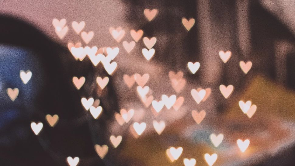 Horoscopul iubirii în 2024. Cum stai cu dragostea anul acesta, în funcție de zodia ta / unsplash.com