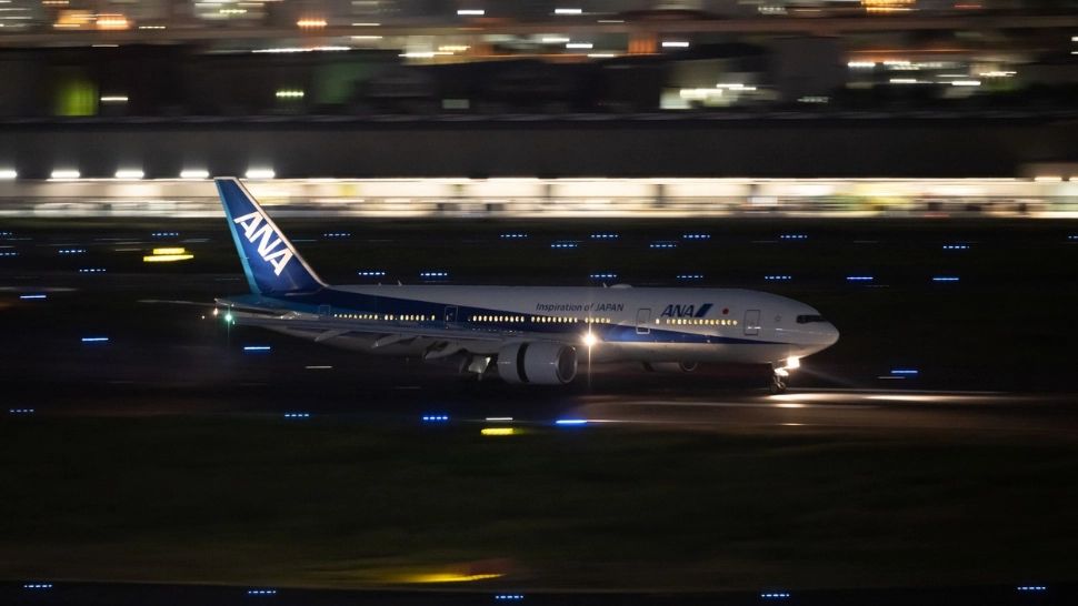 Avion al companiei All Nippon Airways/ Profimedia