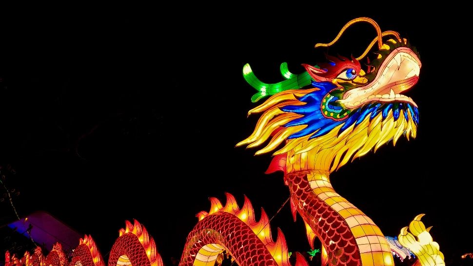 Horoscopul chinezesc pentru 2024. Impact decisiv asupra nativilor din zodiac, în Anul Dragonului de Lemn Verde/unsplash.com