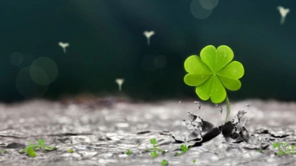 Zodii care pot avea provocări mari pe data de 17 mai 2024. Nativii care sunt puși la încercare de Univers