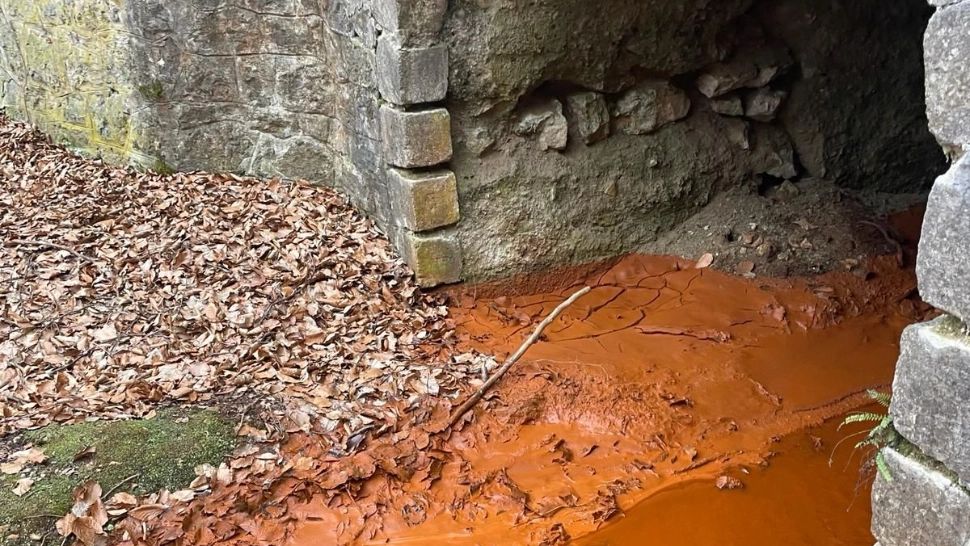 Apele Române: Alertă pe Valea Borod, în judeţul Bihor! Posibilă poluare