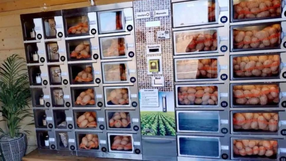 A fost deschis primul automat de cartofi din România. Foto: Transilvania Business