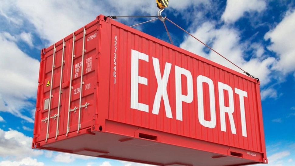 Peste 90% din producția de hribi din România merge la export
