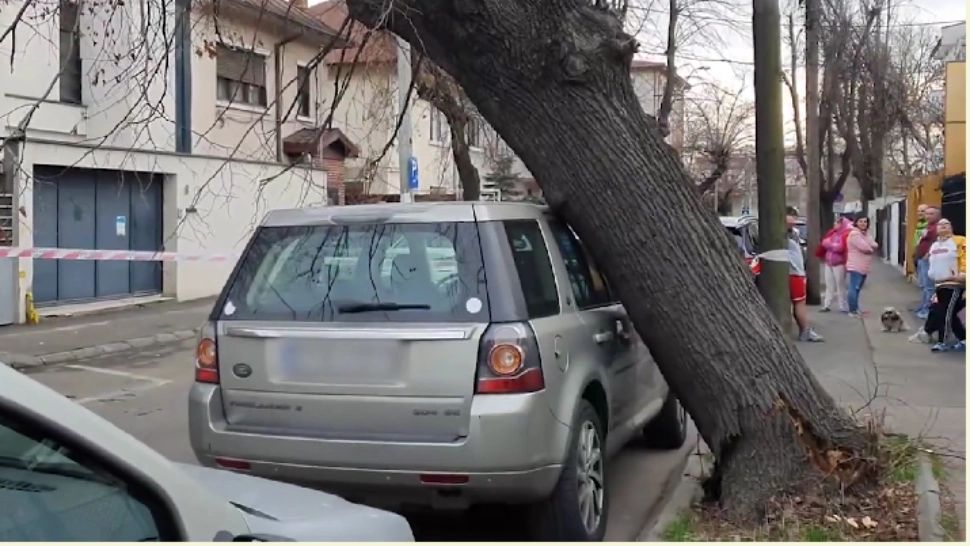 Un copac a căzut din senin peste o mașină parcată. Incident șocant în Sectorul 1 al Capitalei/ Captură video 