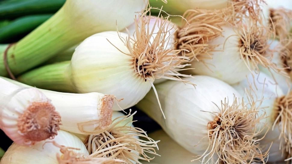 Ce se întâmplă în corpul tău dacă mănânci zilnic un fir de ceapă verde
