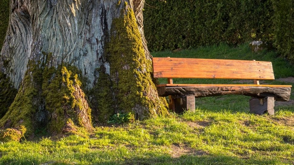 ANM: Vreme nefiresc de caldă, în toată țara. Temperaturi în creștere constantă, dar și ploi. Zonele unde maximele sar de 20 de grade