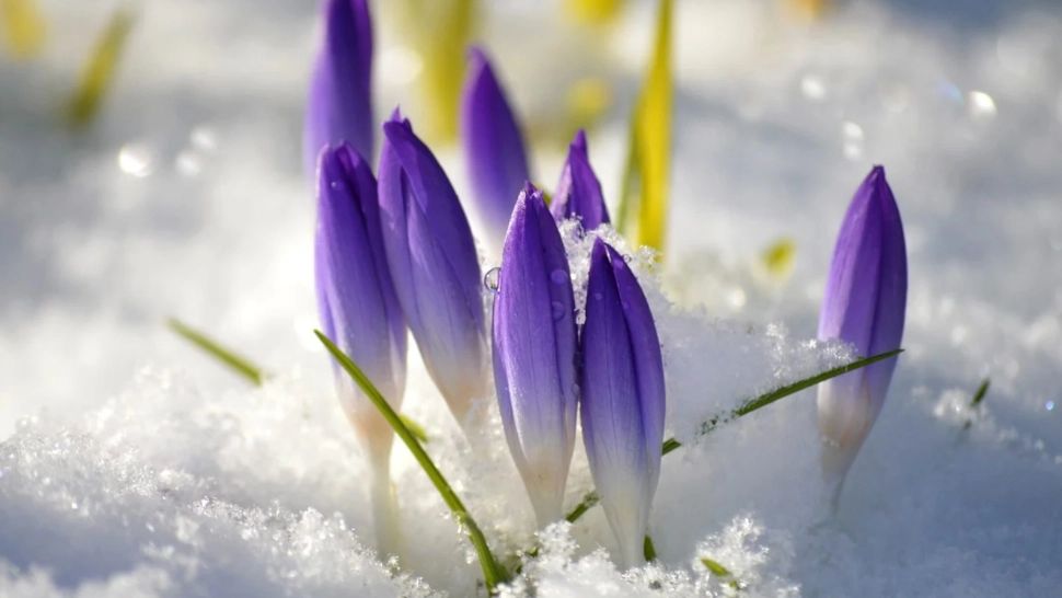 Prognoza meteo pe două săptămâni. Babele din martie aduc vreme capricioasă. Se anunță temperaturi neobișnuite