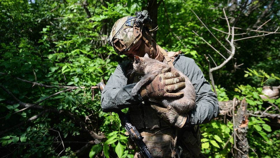 Ministrul Apărării, Angel Tîlvăr, la 2 ani de război: Vom fi alături de Ucraina atât timp cât va fi nevoie
