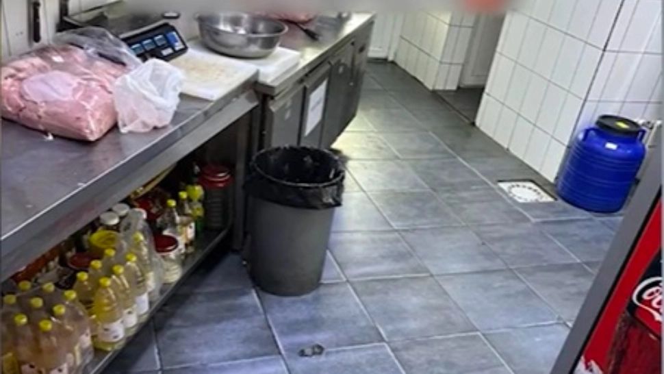 Gândaci și mizerie la cel mai cunoscut restaurant din Sectorul 2! Unitatea a fost închisă temporar de ANPC
