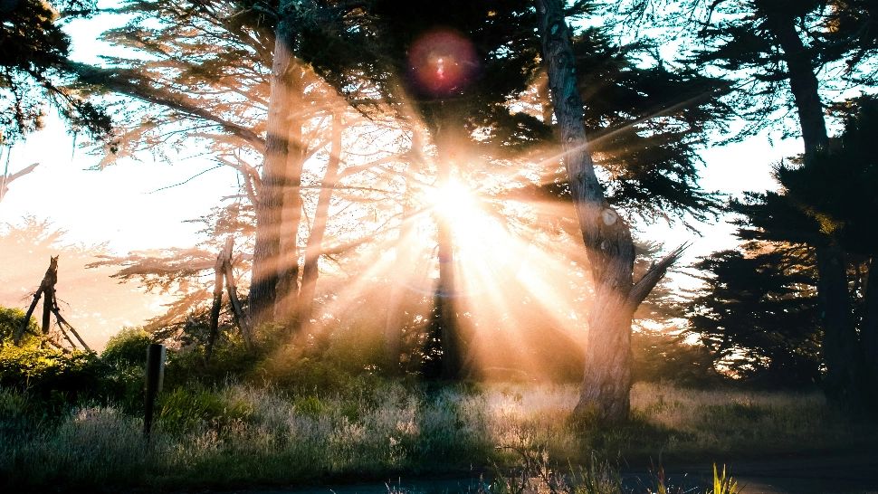 Trei zodii din horoscop care vor trăi un MIRACOL până în ziua de Paște. După 1 aprilie vine cea mai bună perioadă din viața lor/ unsplash.com