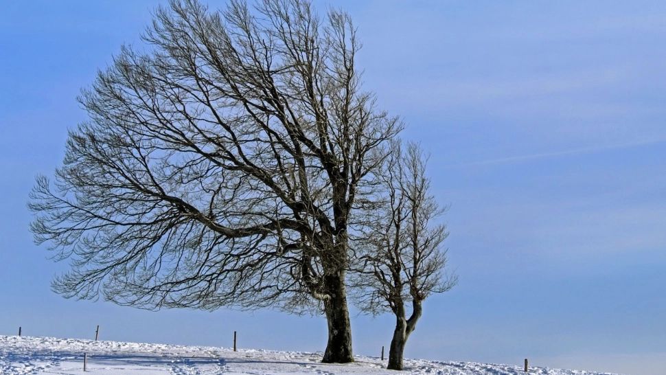 Alertă meteo: Cod galben de fenomene periculoase