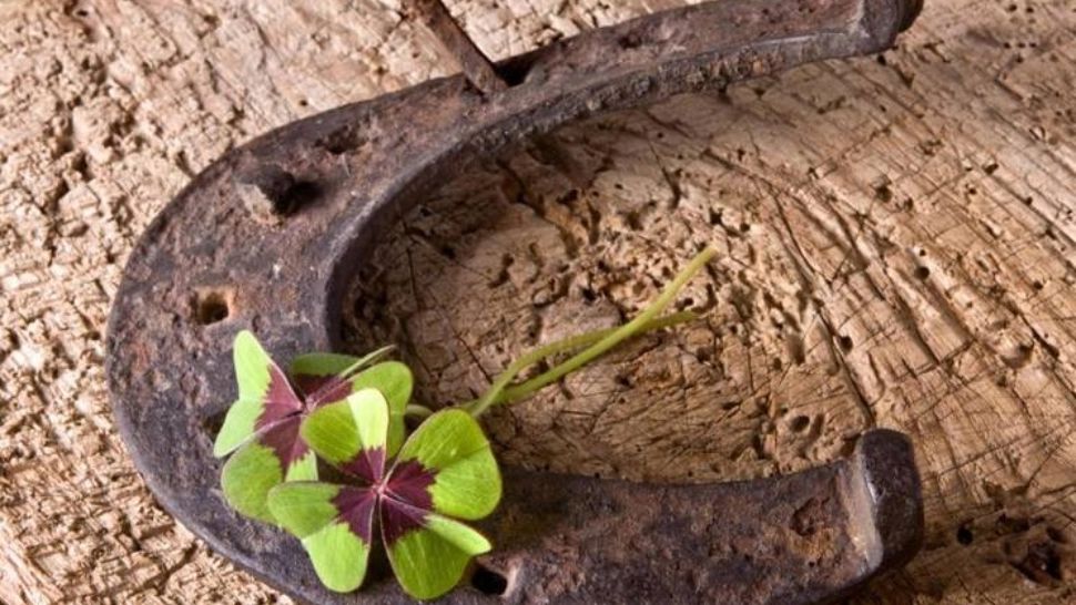 Cele mai energice zodii. Ei sunt nativii cu o forță interioară de invidiat