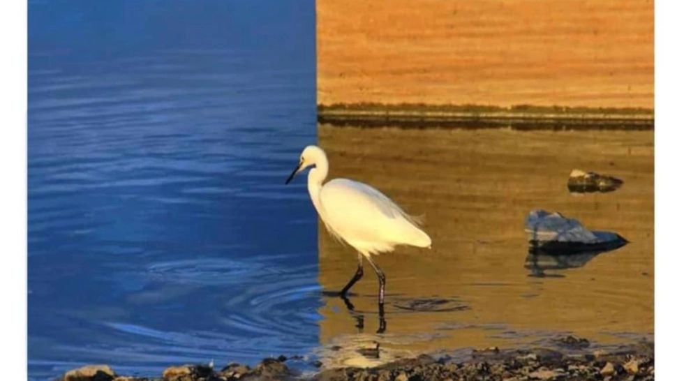 Iluzia optică PERFECTĂ. În cât timp îți dai seama că această fotografie nu este trucată?