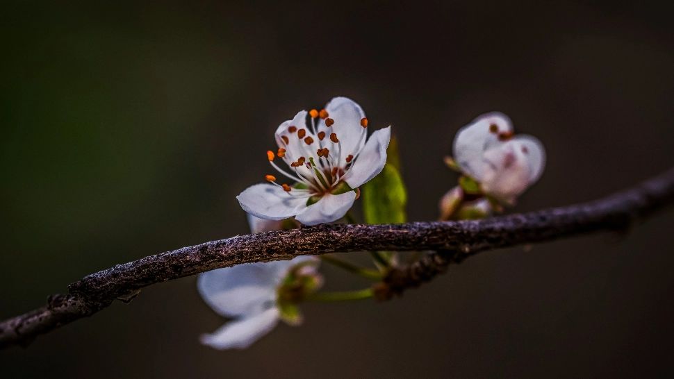 Horoscop 1 aprilie 2024. Vești uriașe pentru o zodie, iar un nativ din zodiac va interacționa cu o fostă iubire: la ce să se aștepte/ unsplash.com