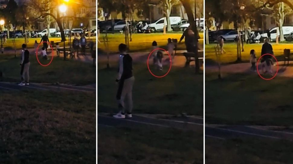 O adolescentă din Arad, costumată în PISICĂ, a atacat un CÂINE. Modă bizară în rândul tinerilor - VIDEO