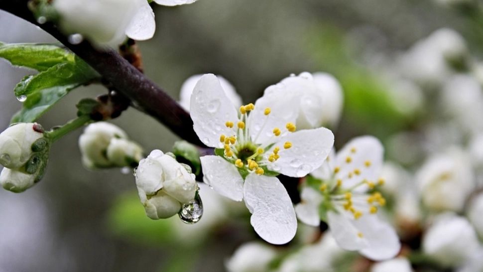 Prognoza meteo pe o lună. Temperaturi neobișnuite, alternanțe periculoase: cum va fi vremea până pe 15 aprilie