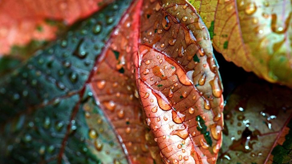 România, lovită de un ciclon puternic: vin ploile. Prognoza meteo actualizată