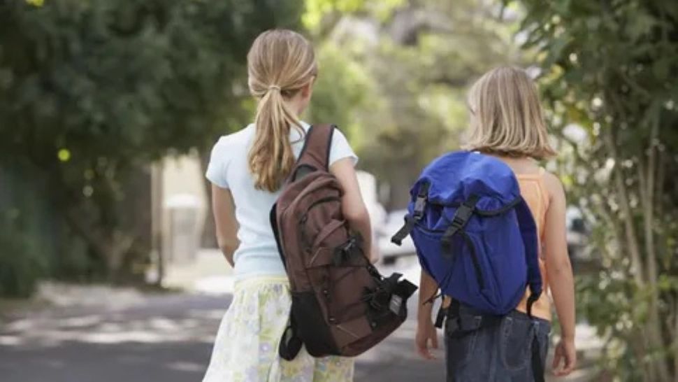 Programul Naţional "Masă sănătoasă", suplimentat cu aproape 100 milioane de lei