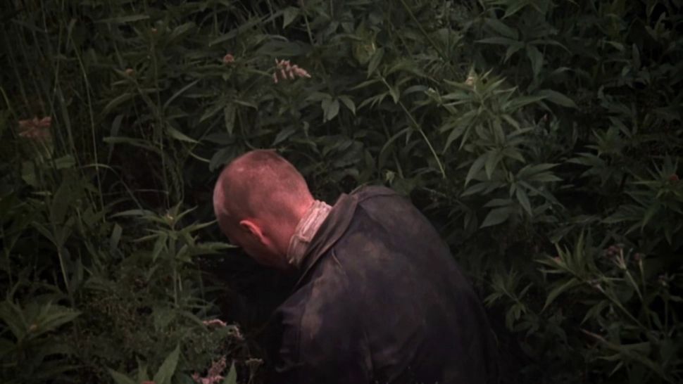 Teoria Pădurii Întunecate: ipoteza înfricoşătoare despre motivul pentru care extratereştrii nu ne-au contactat