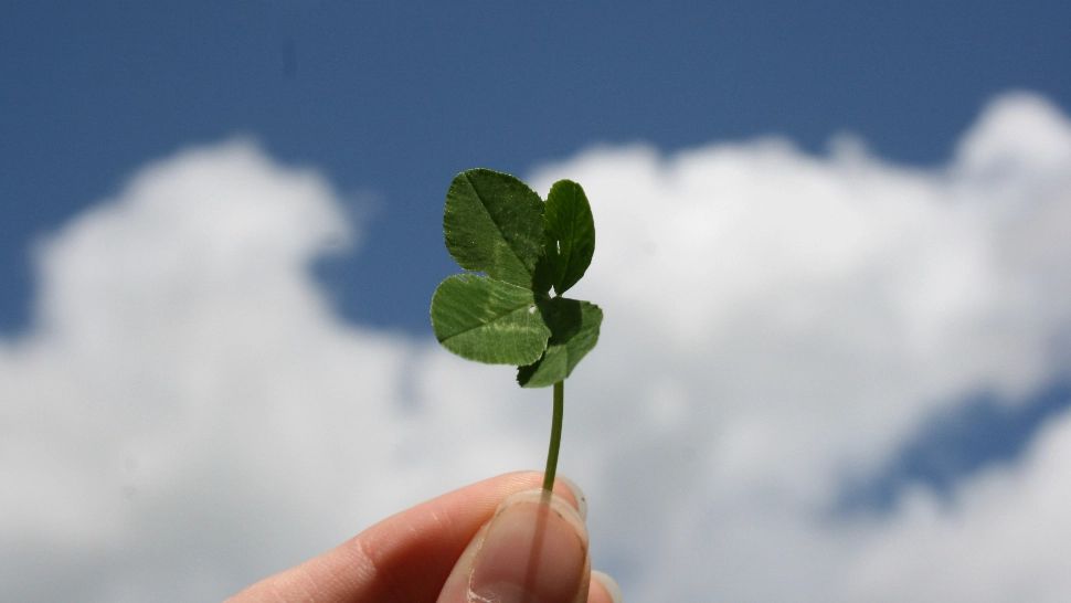 4 zodii sunt extrem de norocoase în aprilie. Urmează să își cumpere o mașină sau o locuință luna aceasta/ unsplash.com