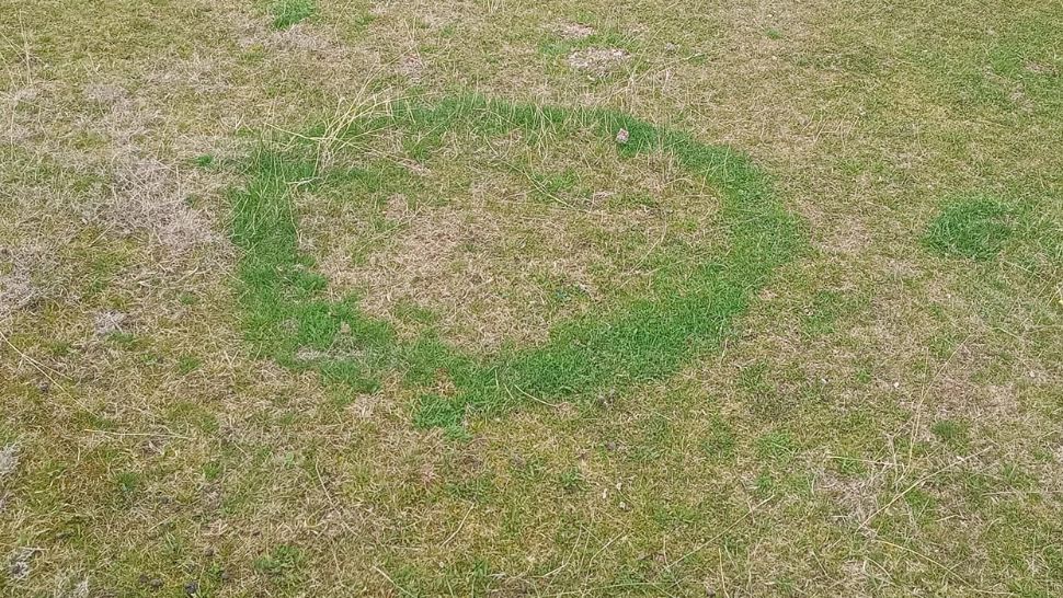 Un cerc misterios în iarbă apărut în Buzău a încins imaginația internauților. Foto: Facebook