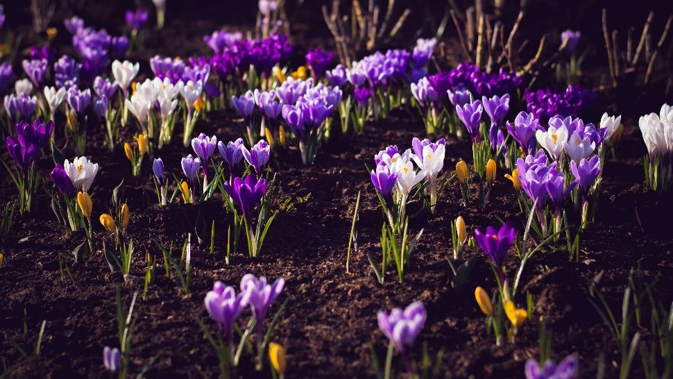 Cum va fi vremea de 1 Mai și de Paște. Prognoza actualizată de la ANM/ unsplash.com