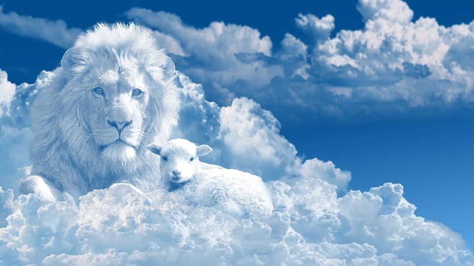 Cele 2 zodii cărora Dumnezeu le pune mâna-n cap până la finalul lunii ianuarie. Urmează o perioadă de bunăstare și lucruri minunate și simt că încep o nouă viață