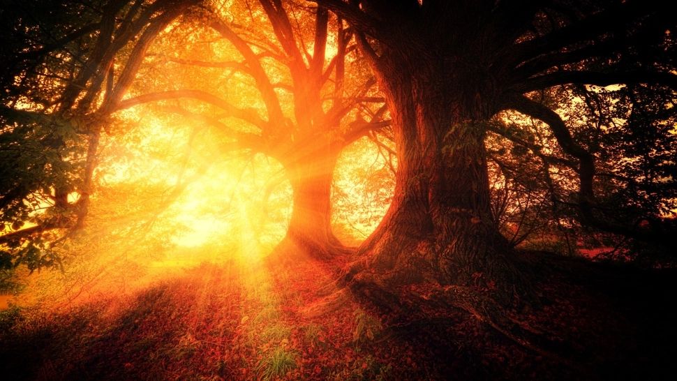 Horoscop 1 mai 2024: Cele 7 zodii care primesc binecuvântarea de la Dumnezeu