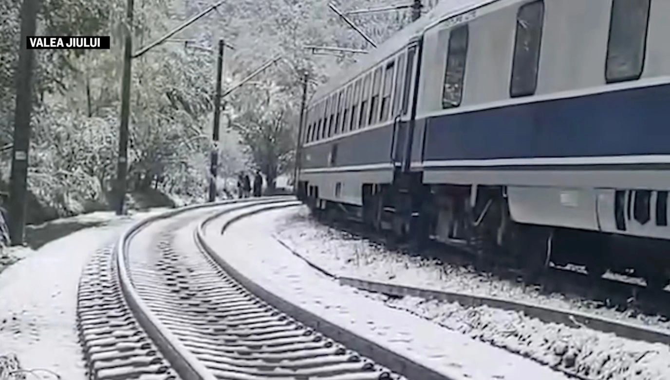 Copac doborât pe șine din cauza zăpezii, oameni blocați în tren