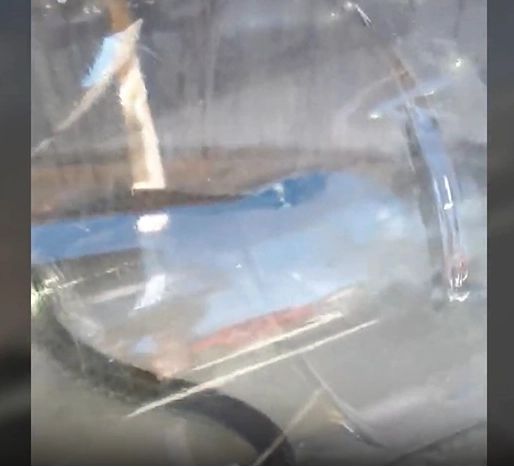 Un șarpe de peste un metru, găsit în baia unui vâlcean! Jandarmii au intervenit de urgență/ Captură video