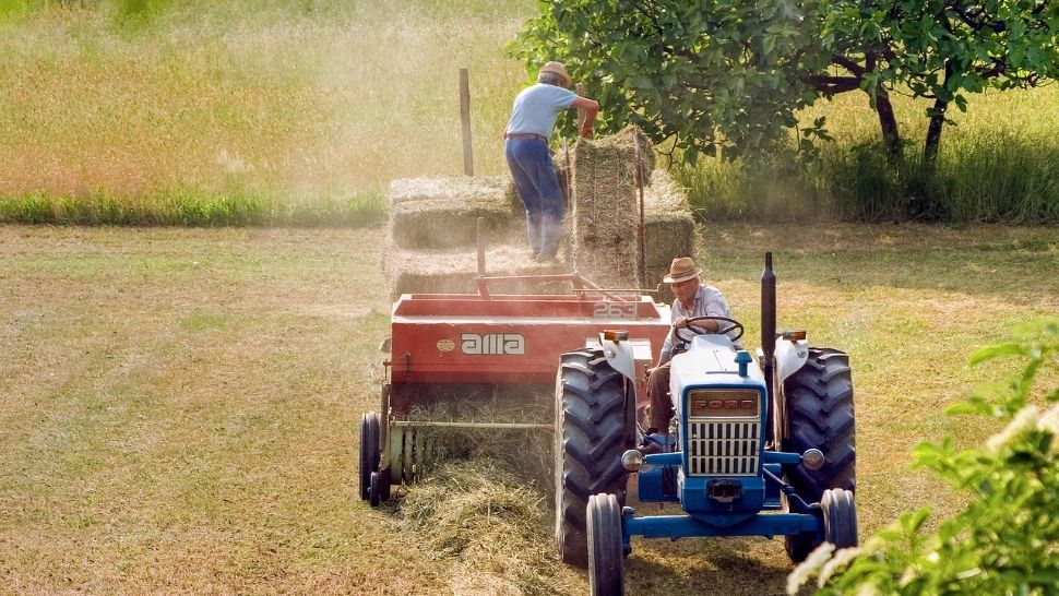 Recolte timpurii din cauza încălzirii globale. Ce spun fermierii