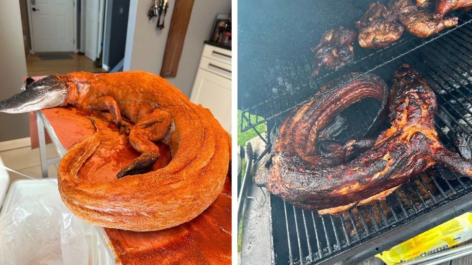 Crocodil la grătar, noul obicei culinar care a împărțit internetul în două