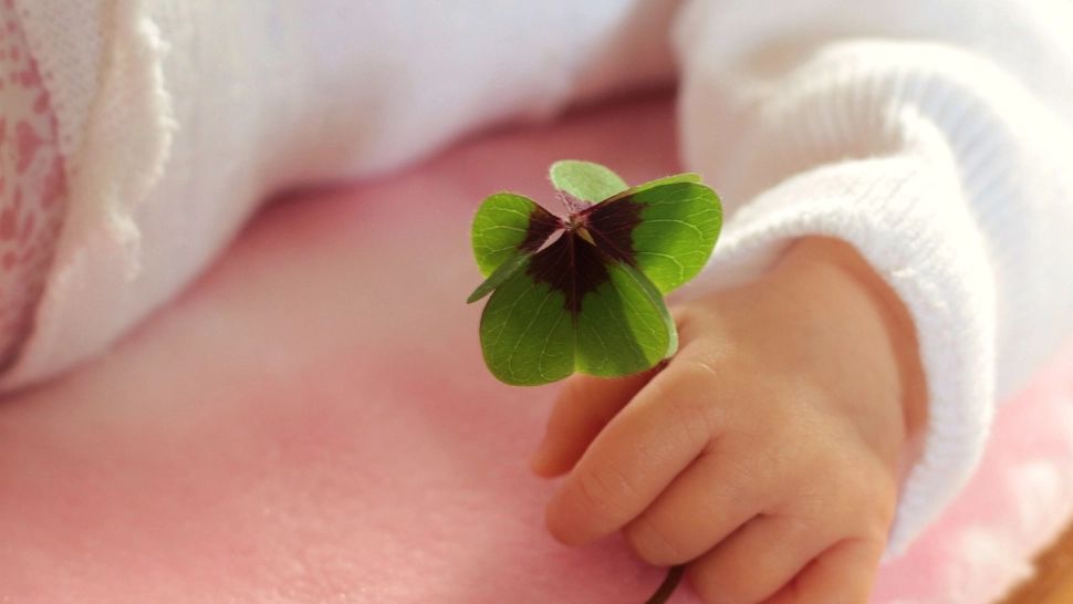 Zodii atrag abundența pe tot parcursul lunii noiembrie 2024. Acești nativi au parte de multe surprize 