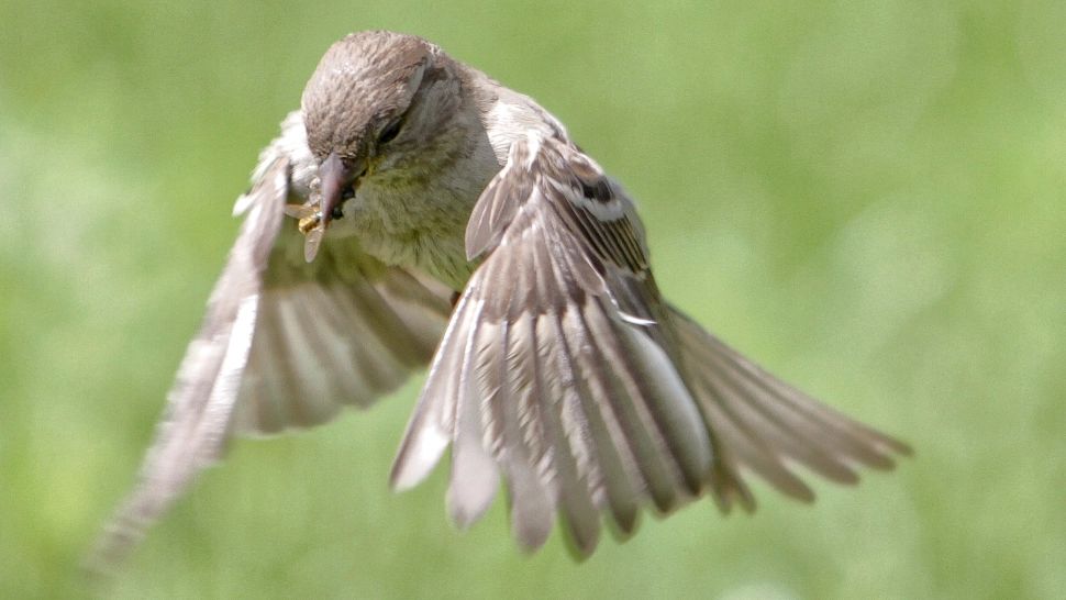 Temperaturi peste cele obişnuite, începând de la jumătatea lunii mai/ Profimedia