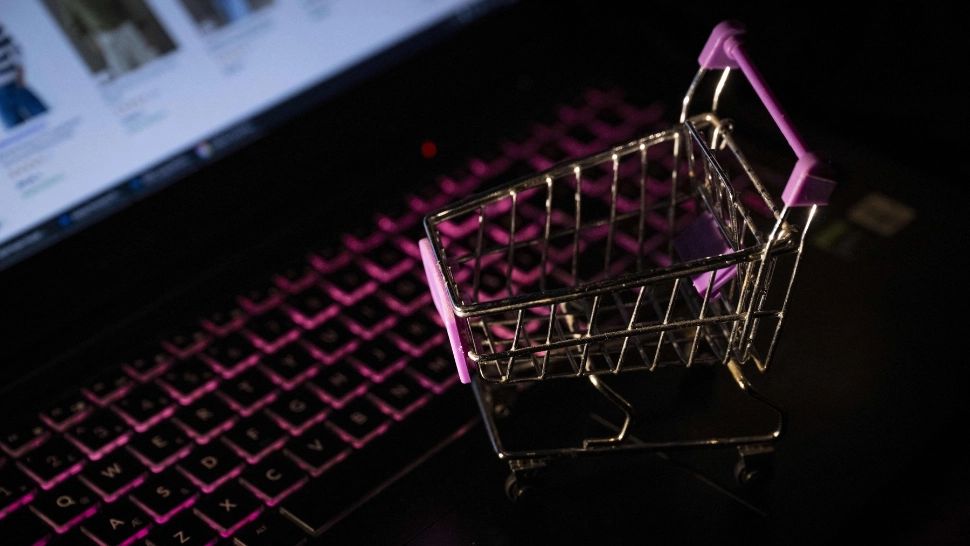 Cumpărături online/ Profimedia