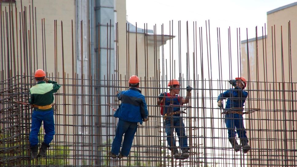 Șocant: femei bătute pentru că s-au dus cu căpșuni pe șantier