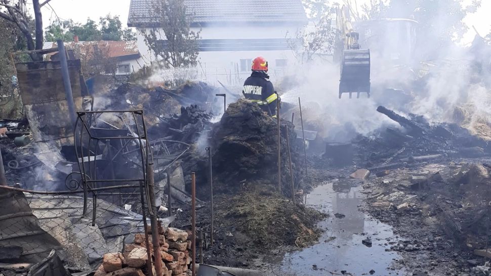 Incendiu nimicitor în Giurgiu. 100 de pui și 3 câini au murit după ce 2 butelii au explodat - VIDEO