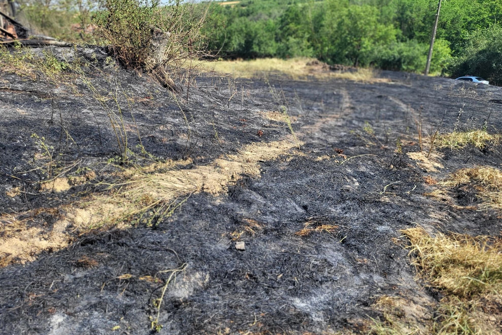 Incendiu uriaș, la Vaslui! Au ars 12 hectare de grâu şi 20 de hectare de vegetaţie uscată şi literă